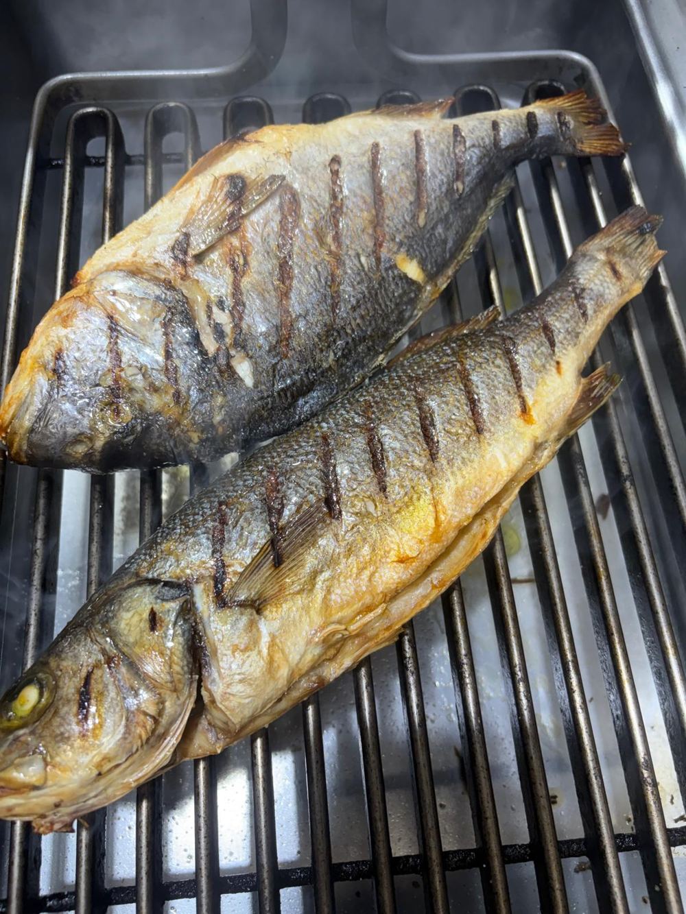 Zwei Doraden auf dem Grillrost